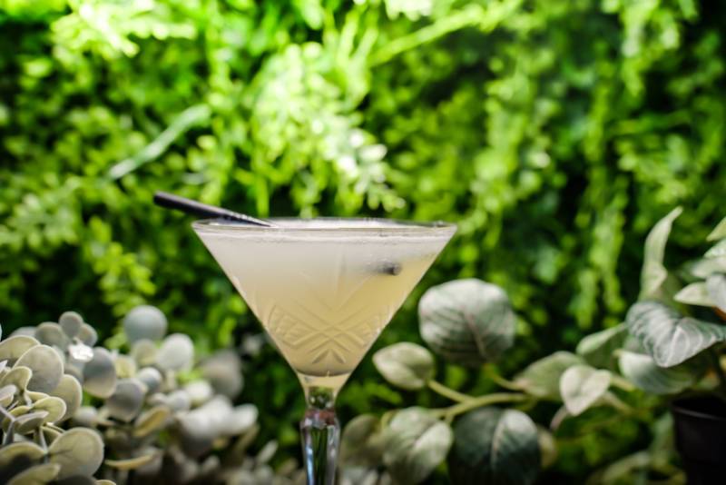 Venez savourer un cocktail bien frais en centre ville du Havre avec ce Daïquiri.