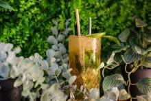 Notre zone d'activité pour ce service Dégustation de cocktails à base de rhum cubain 