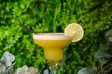 Notre zone d'activité pour ce service Dégustation de cocktails à base de rhum cubain 