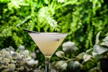Notre zone d'activité pour ce service Dégustation de cocktails à base de rhum cubain 